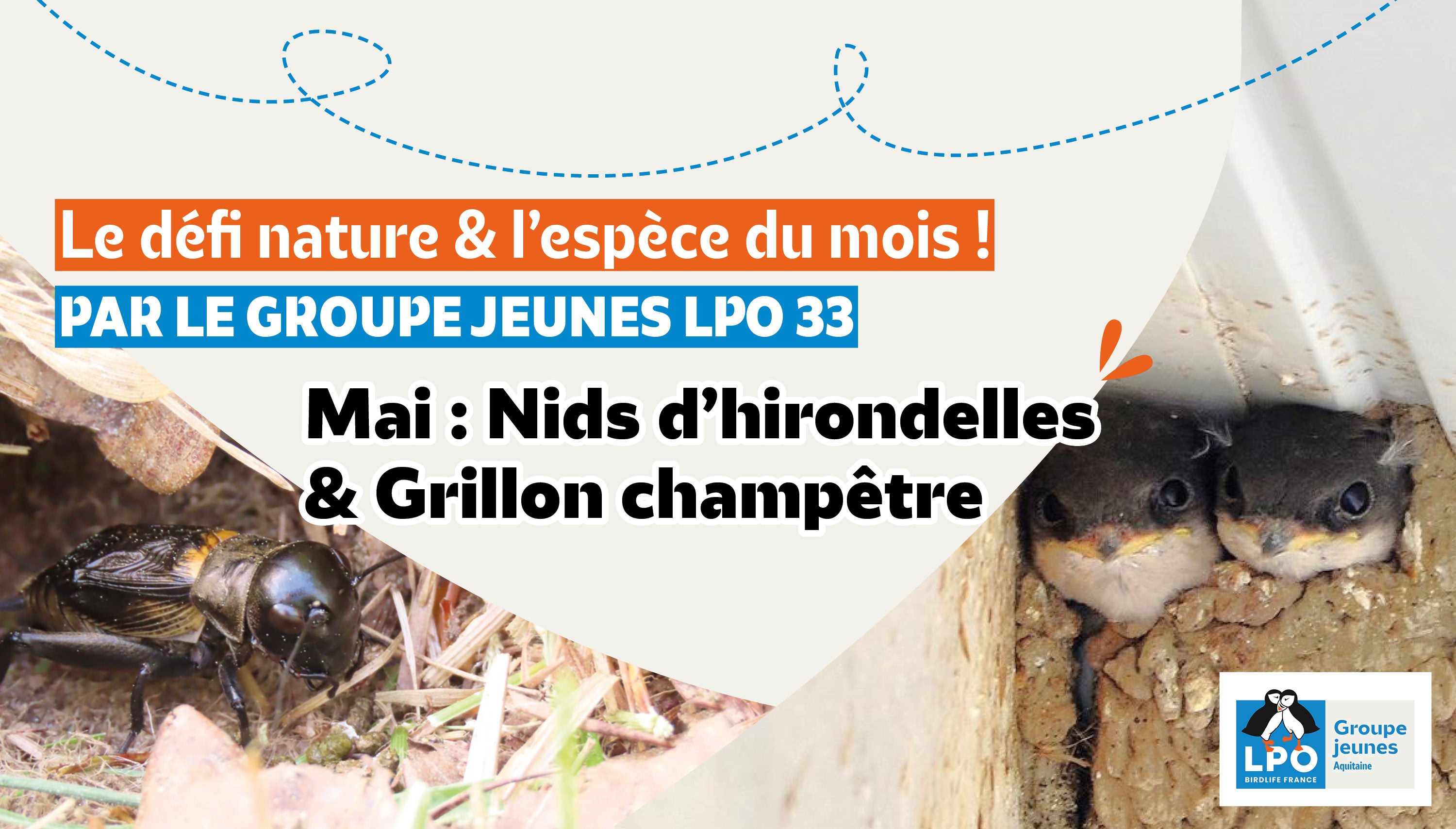 Défi nature & espèce du mois par le Groupe Jeunes 33 ! | Mai
